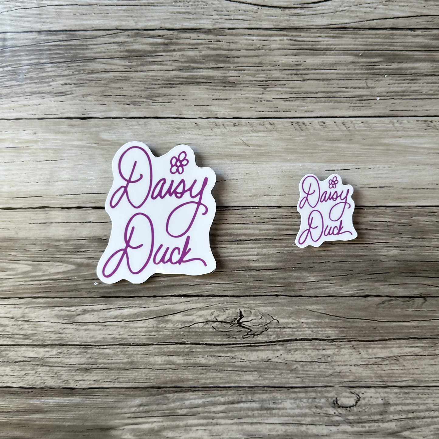 Daisy Duck autograph sticker